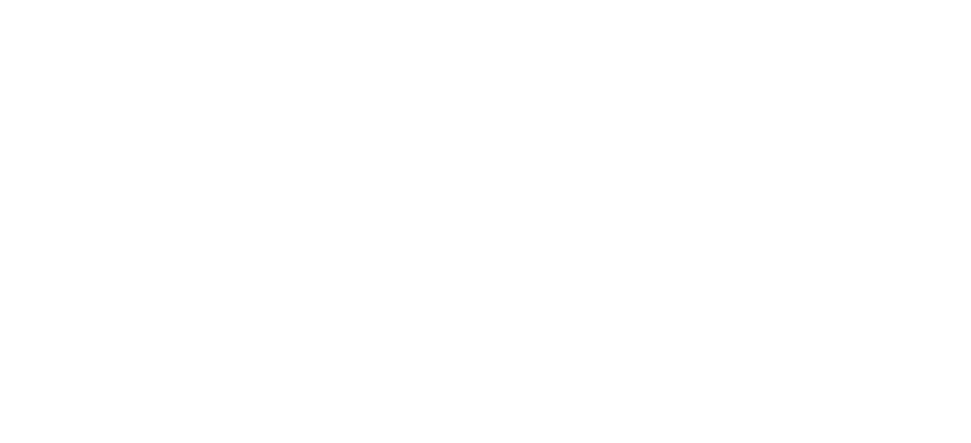 IoN Solutions
